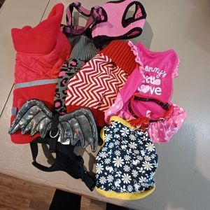 Small dog accessories